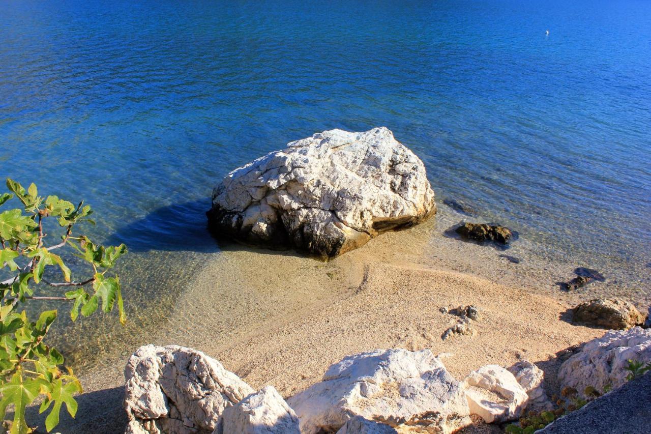 Apartments By The Sea Slano, Dubrovnik - 8599 מראה חיצוני תמונה